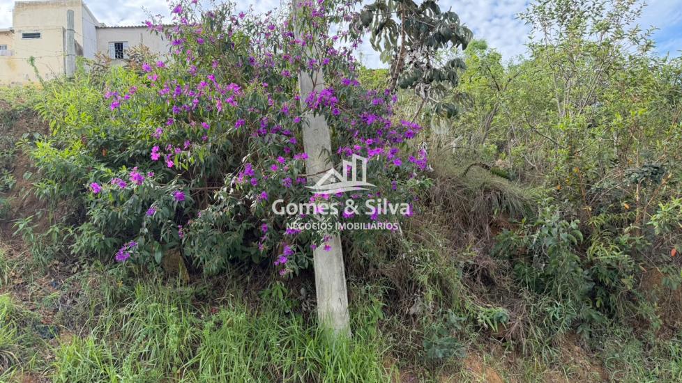 lote-venda-bairro-sao-mateus-igarape-mg-1147719