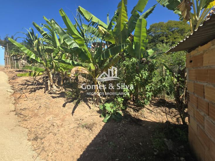 barracao-venda-recreio-do-lago-farofa-1122229