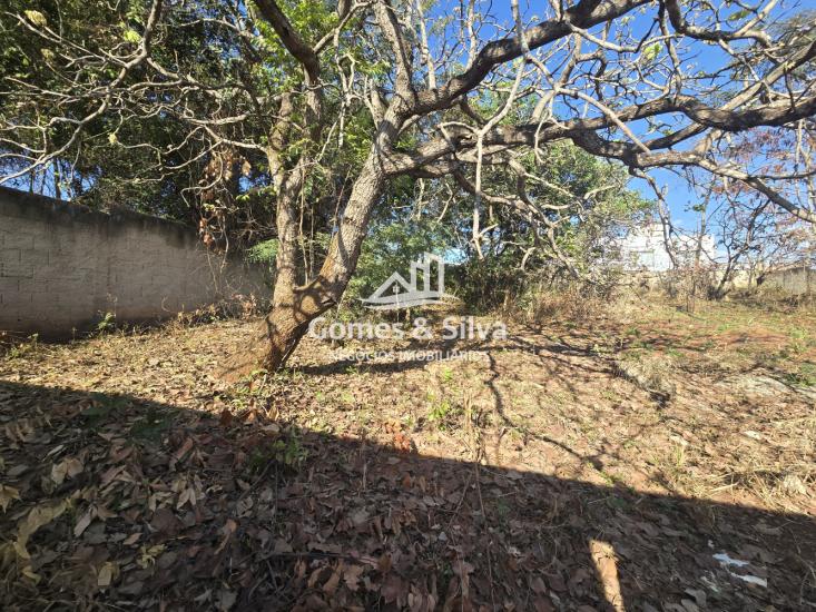 lote-venda-bairro-fernao-dias-igarape-mg-1131465
