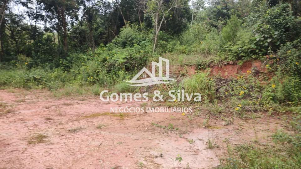 lote-venda-bairro-santa-rosa-igarape-mg-1132667
