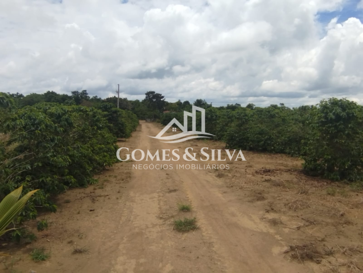 terreno-venda-cidade-de-divisopilis-mg-1133340