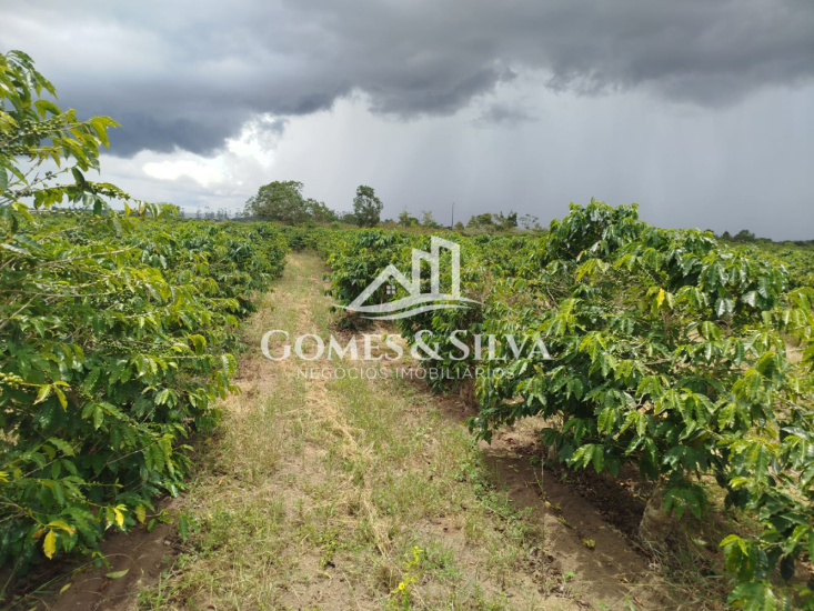 terreno-venda-cidade-de-divisopilis-mg-1133345