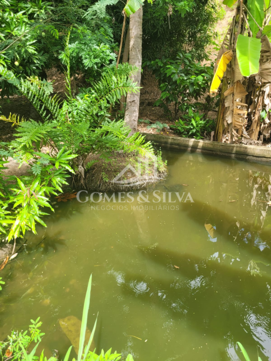 sitio-venda-cidade-jequitinhonha-mg-1125602