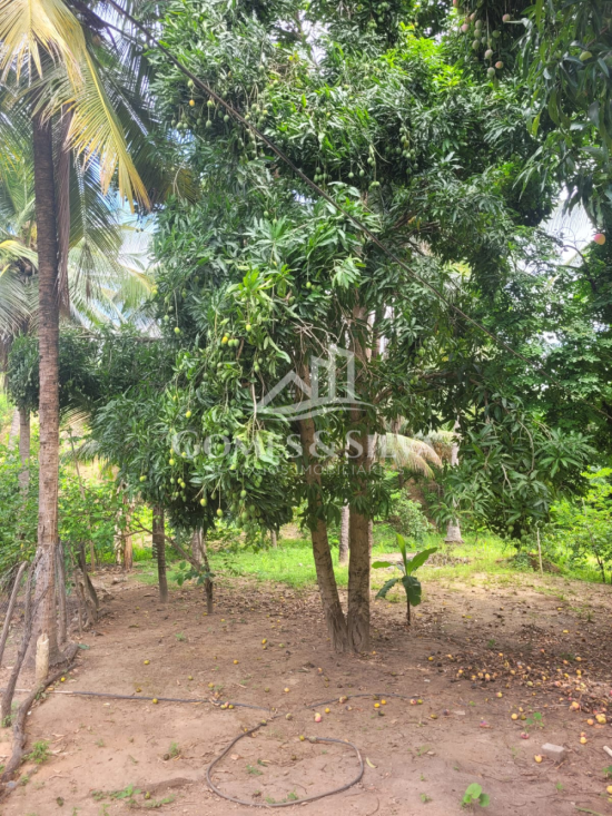 sitio-venda-cidade-jequitinhonha-mg-1125611