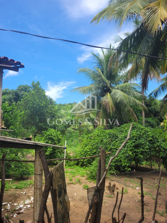 sitio-venda-cidade-jequitinhonha-mg-1125612