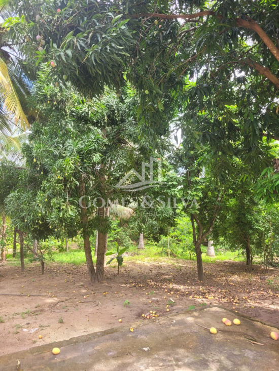 sitio-venda-cidade-jequitinhonha-mg-1125604