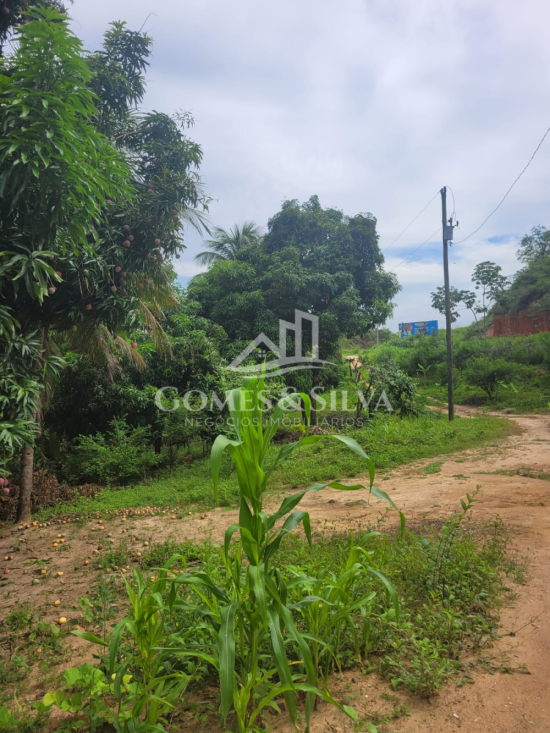 sitio-venda-cidade-jequitinhonha-mg-1125608