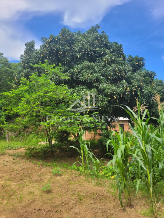 sitio-venda-cidade-jequitinhonha-mg-1125609