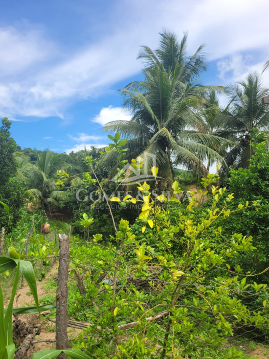 sitio-venda-cidade-jequitinhonha-mg-1125610